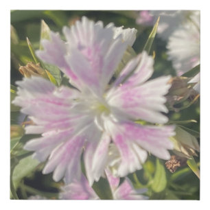 greyforaday Whte Floral Print