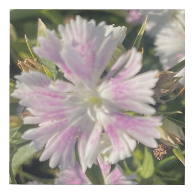 greyforaday Whte Floral Print (Front)