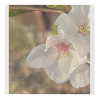 greyforaday Whte Floral Print