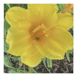 greyforaday Yellow Floeral Print