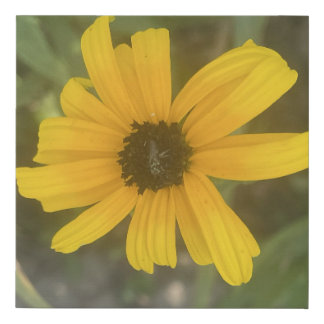 greyforaday Yellow Floral Print