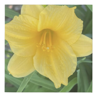 greyforaday Yellow Floral Print
