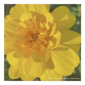 greyforaday Yellow Floral Print