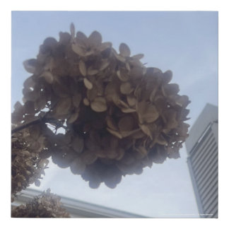 greyforaday Yellow Floral Print