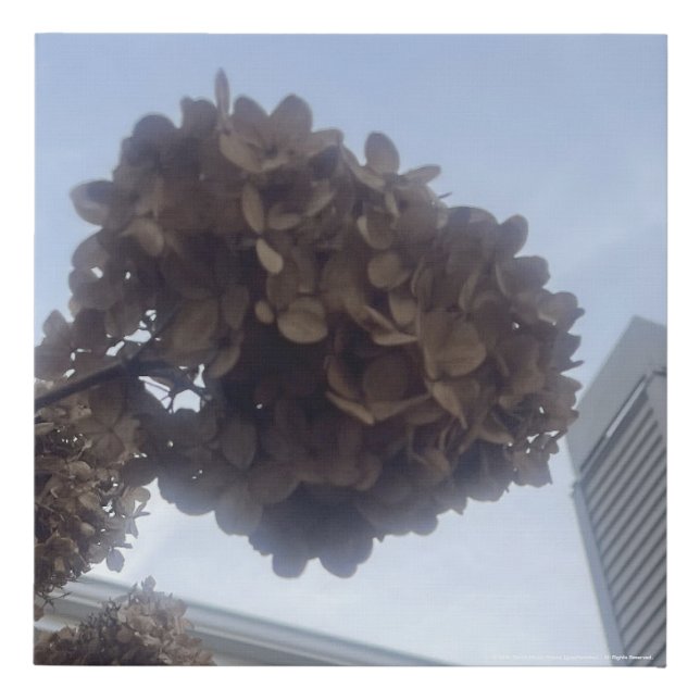 greyforaday Yellow Floral Print (Front)