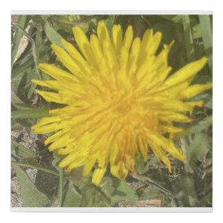 greyforaday Yellow Floral Print