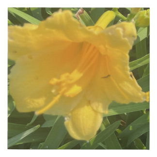 greyforaday Yellow Floral Print