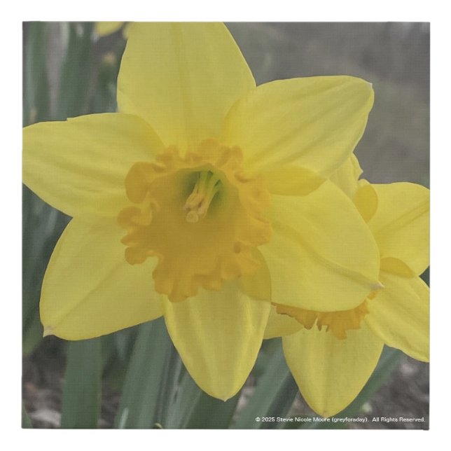 greyforaday Yellow Floral Print (Front)