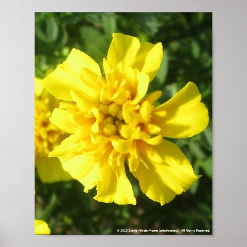 greyforaday Yellow Floral Print