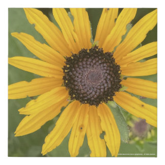 greyforaday Yellow Floral Print