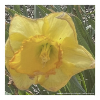 greyforaday Yellow Floral Print