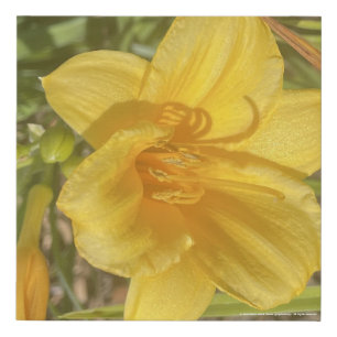 greyforaday Yellow Floral Print