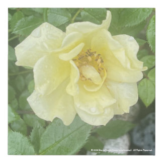 greyforaday Yellow Floral Print