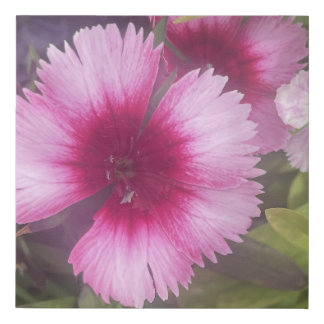 greyforday Pink Floral  Print