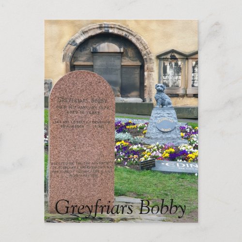 Greyfriars Bobby Edinburgh Postcard