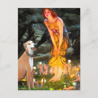 Greyhound 9B - MidEve Postcard