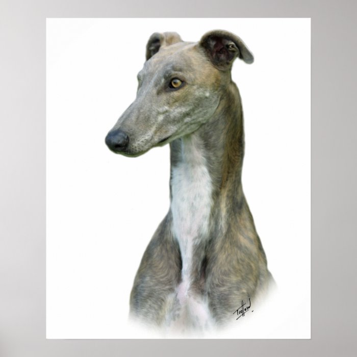 Greyhound 9J008D 4 Print