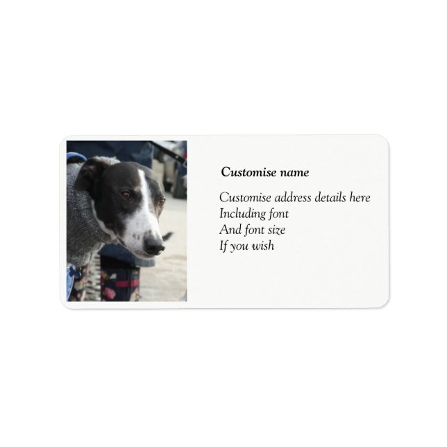 Greyhound address labels (Front)