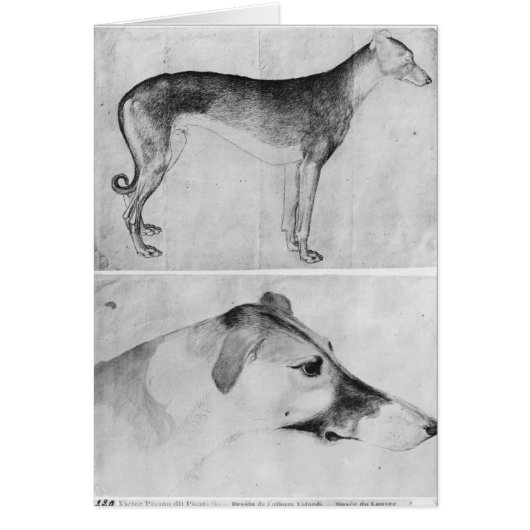 Greyhound and head of a greyhound cards (Front)