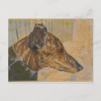 Greyhound Art Postcard by tracyreinhARdT at Zazzle