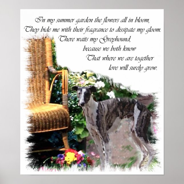 Greyhound Art Print (Front)