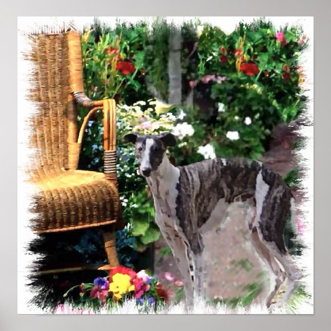 Greyhound Art Print (Front)