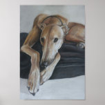 Greyhound Art Print at Zazzle