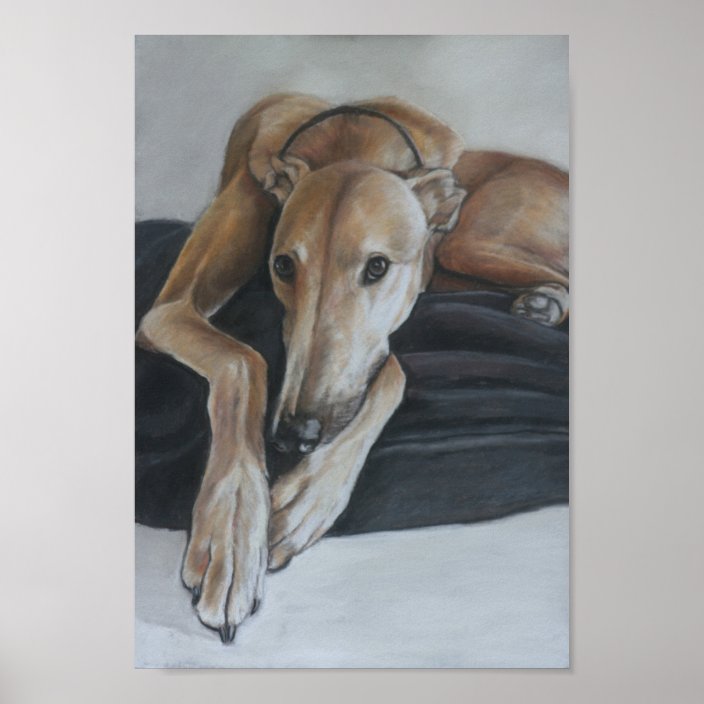greyhound art