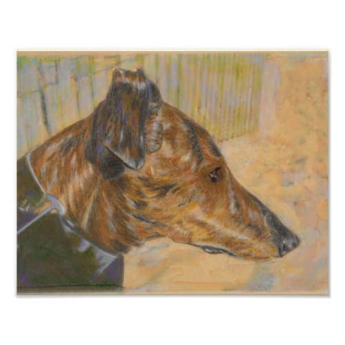 Greyhound at the beach photo print