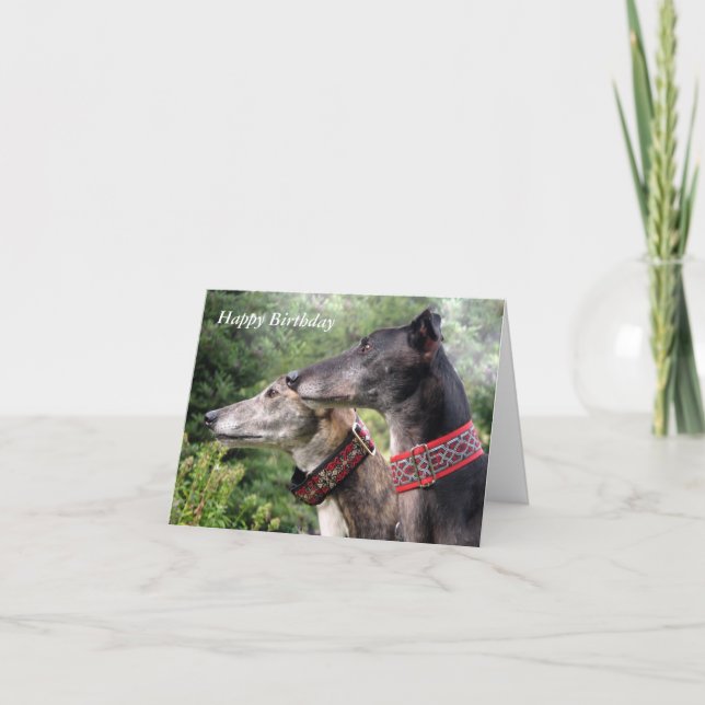 Greyhound birthday card (p338) (Front)