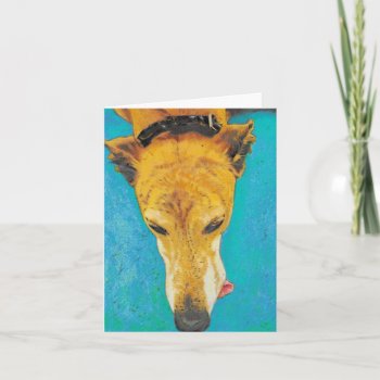 Greyhound Blank Card Ets by tracyreinhARdT at Zazzle