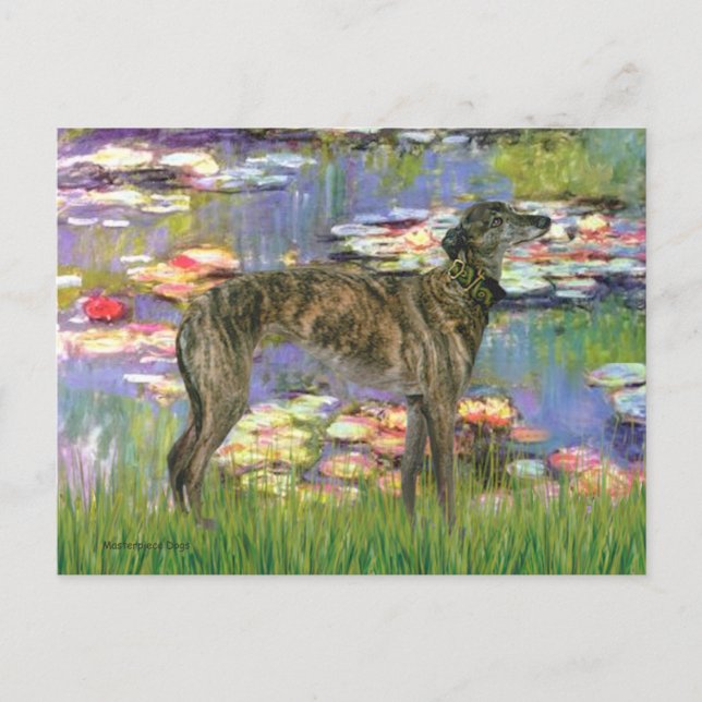 Greyhound (br8) - Lilies 2 Postcard (Front)