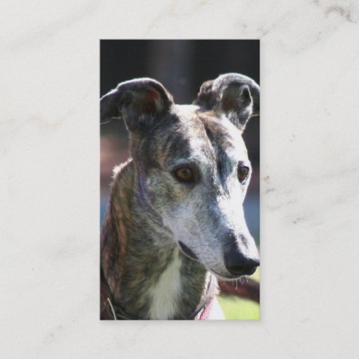 Customizable Greyhound business cards