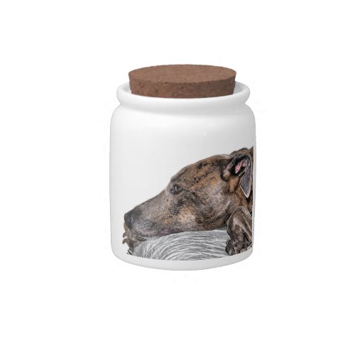 greyhound candy jar