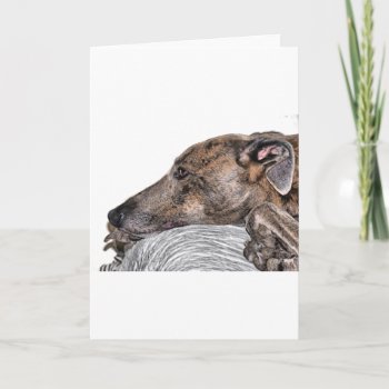 Greyhound Card by BreakoutTees at Zazzle