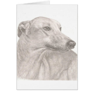 Greyhound Cards