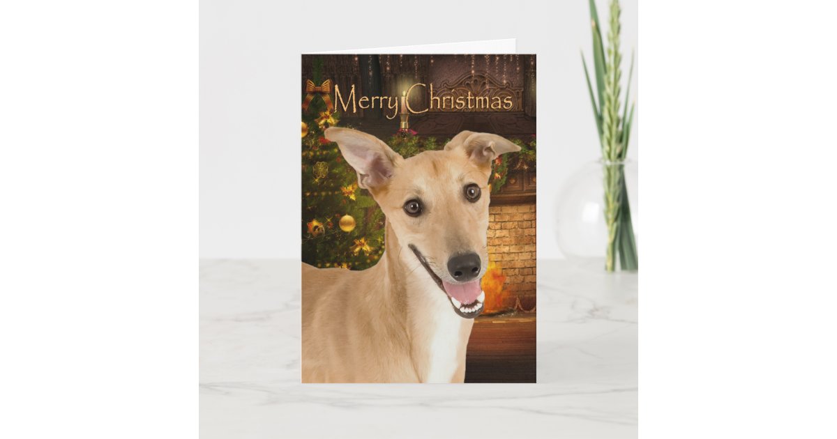 Greyhound Christmas Card Zazzle