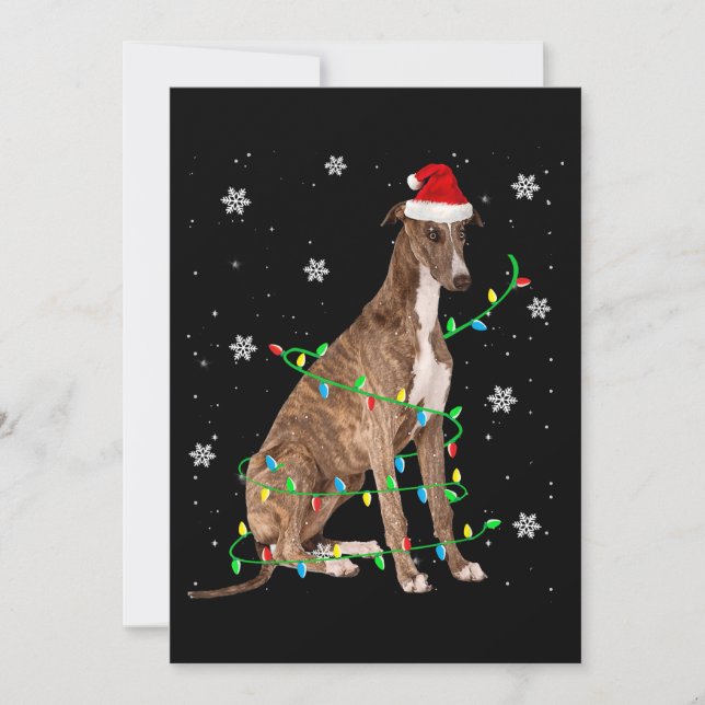 greyhound christmas light cute santa greyhound holiday card (Front)