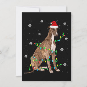 greyhound christmas light cute santa greyhound invitation