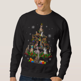 Greyhound Christmas Tree Lights Funny Dog Xmas Gif Sweatshirt