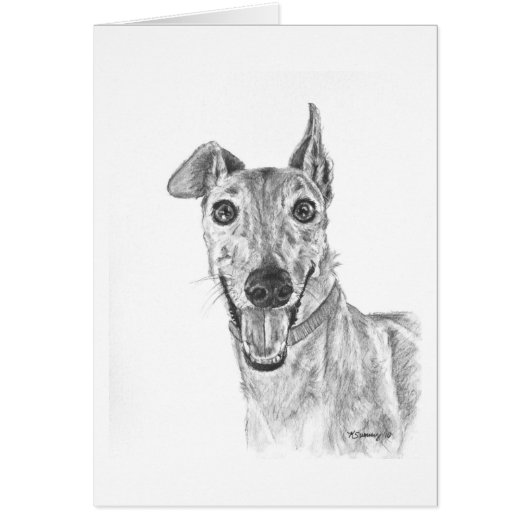 Greyhound Closeup Drawing Cards (Front)