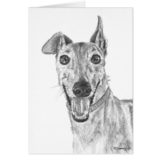 Greyhound Closeup Drawing Cards (Front)