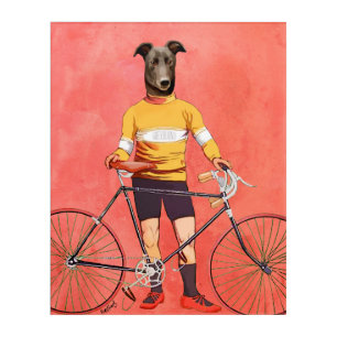 Greyhound Cyclist Acrylic Print