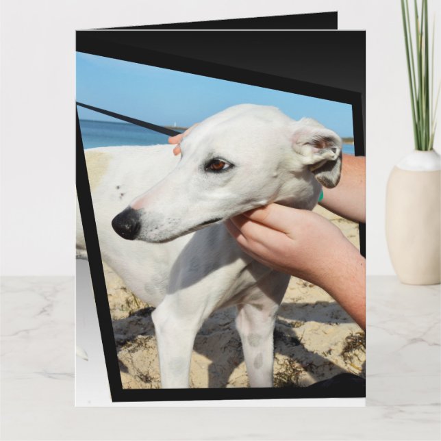 Greyhound Dimensions Big Greeting Card (Front)