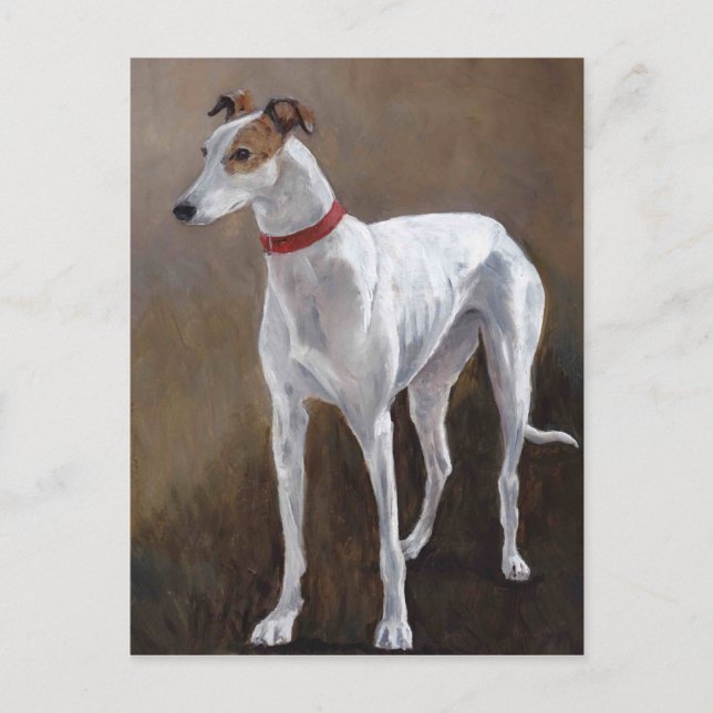 Greyhound Dog Art Postcard (Front)