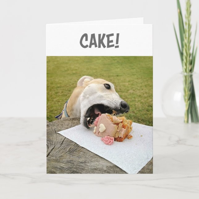 Greyhound Dog Birthday Cake Card (Front)