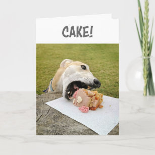 Greyhound Dog Birthday Cake Card