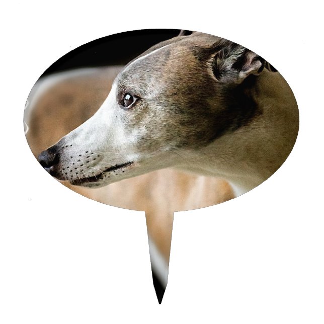 Greyhound Dog Cake Topper (Front)