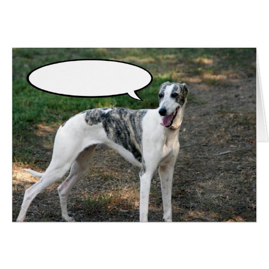 Greyhound Dog Cards (Front Horizontal)