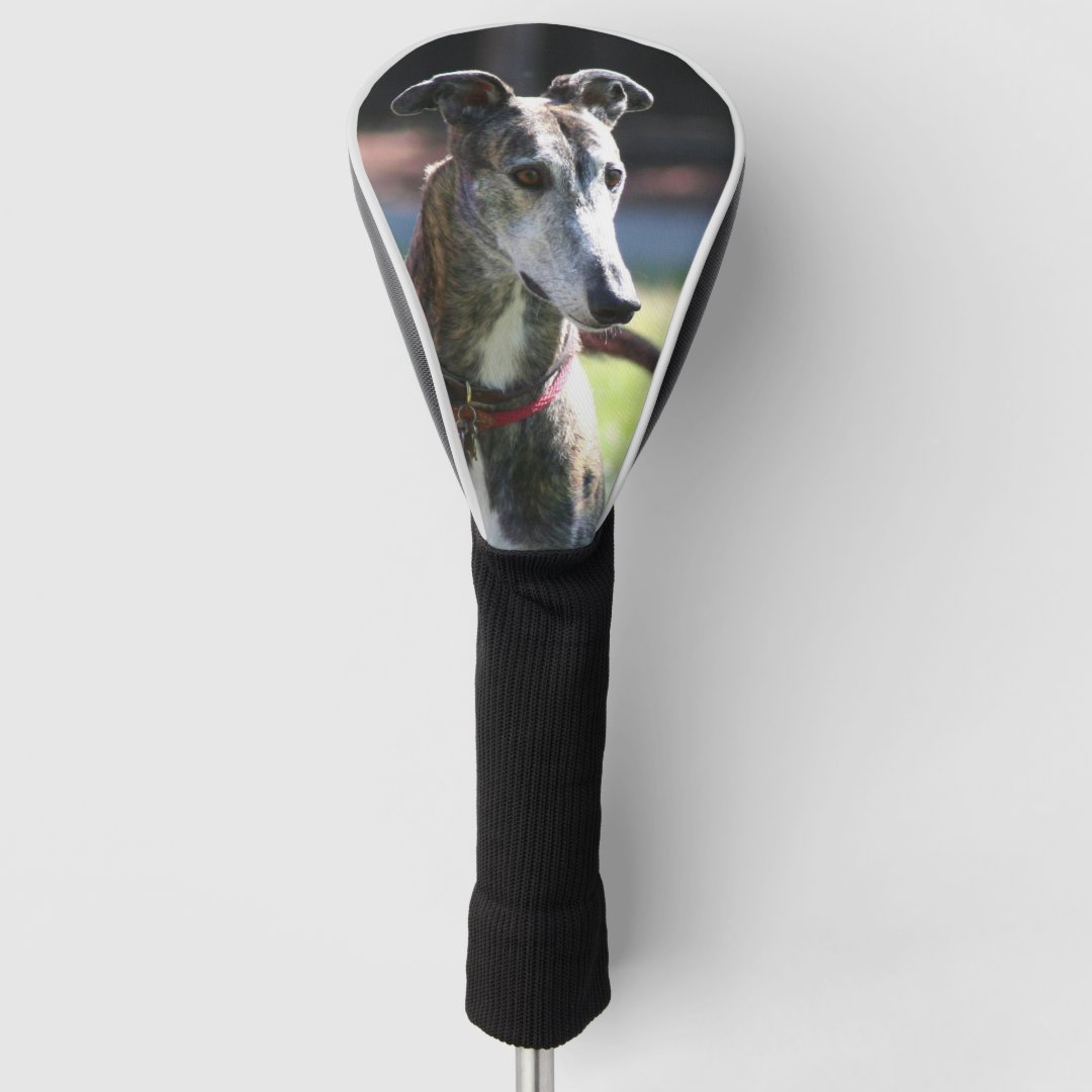 Greyhound dog golf head cover Zazzle